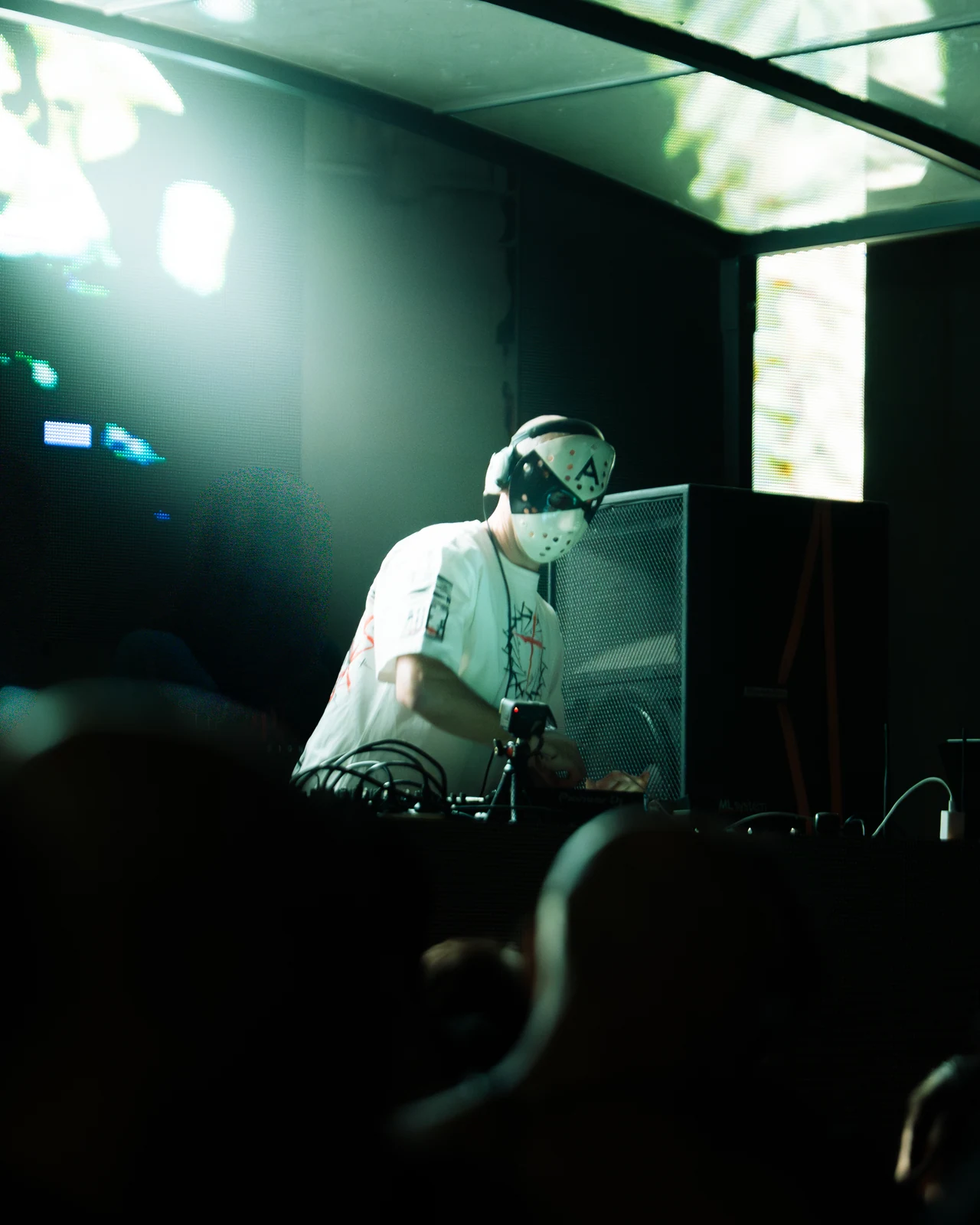Festivals — photo 2